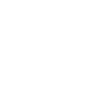 icon1
