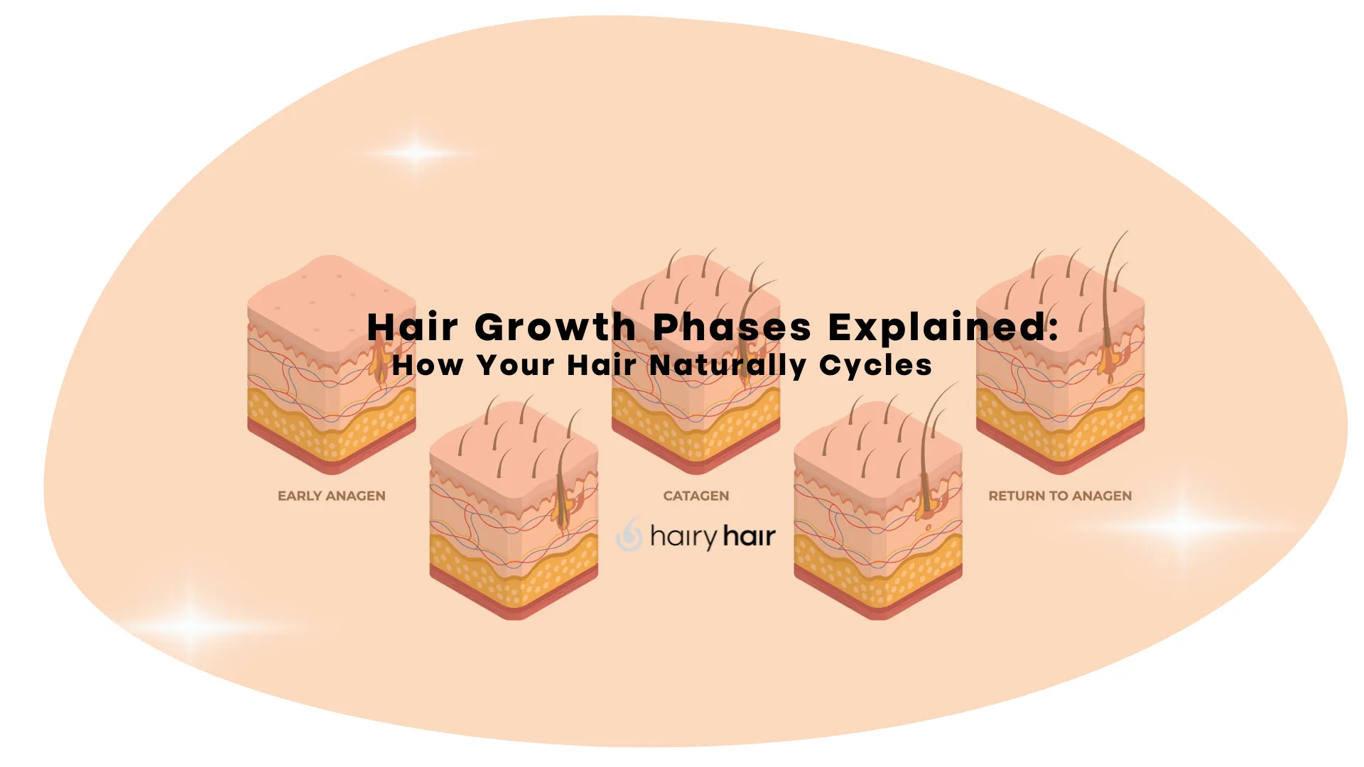 Hair Growth Phases Explained: How Your Hair Naturally Cycles